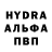 ГАШ VHQ Larisa Sharafutdinova