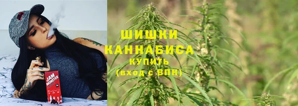 СК Медногорск