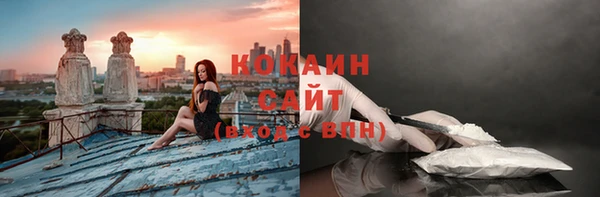крисы Медвежьегорск