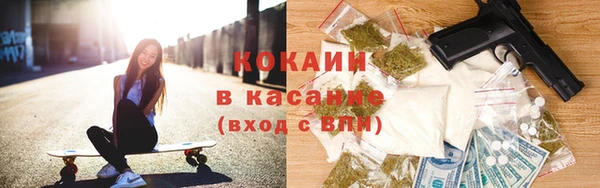 крисы Медвежьегорск