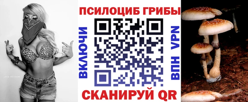 Купить где  Нарьян-Мар  Псилоцибиновые грибы MAGIC MUSHROOMS 