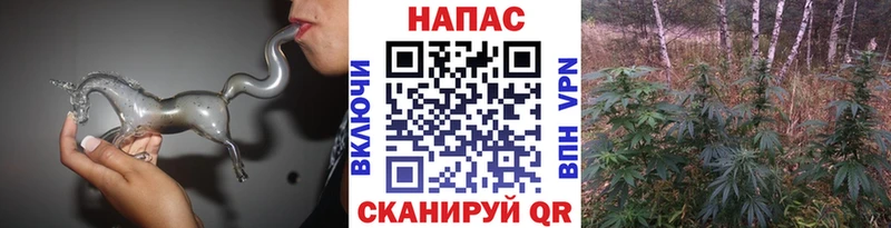 Бошки Шишки план  Купить закладки  Нарьян-Мар 